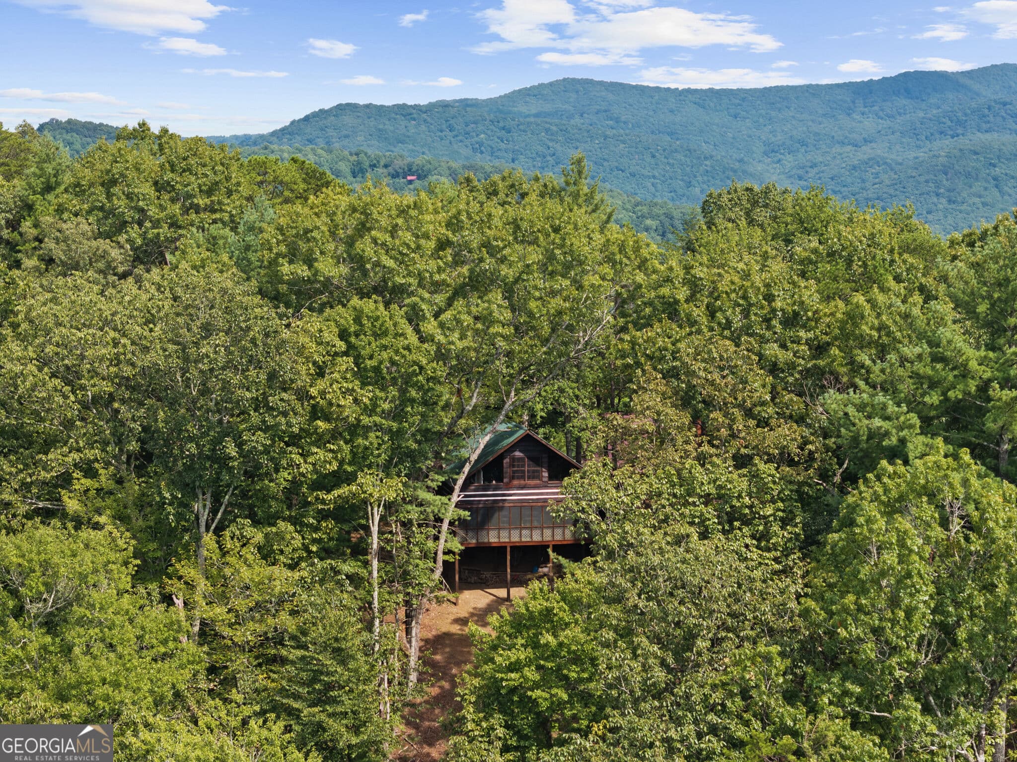 2 bedroom, 2 bathroom, 1,168 sq ft cabin,single family residence for sale at 21 Mountain View Trail 3,4, Cherry Log, GA 30522 — photo 5