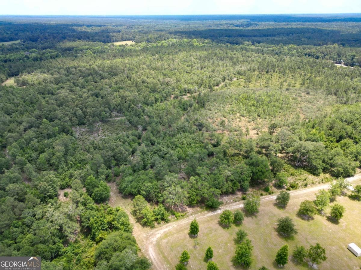 agriculture for sale at LOT 8 Faithland Drive, Hinesville, GA 31313 — photo 2