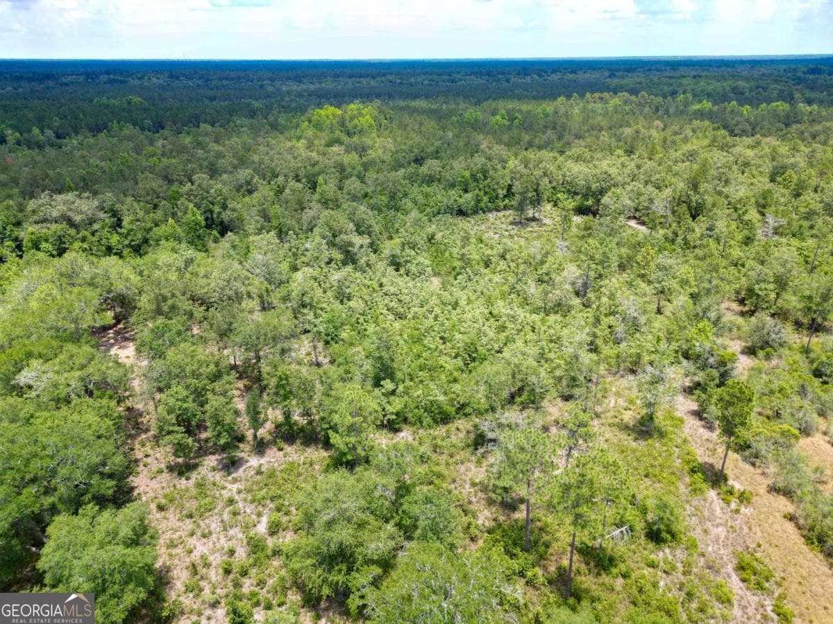 agriculture for sale at LOT 8 Faithland Drive, Hinesville, GA 31313 — photo 6