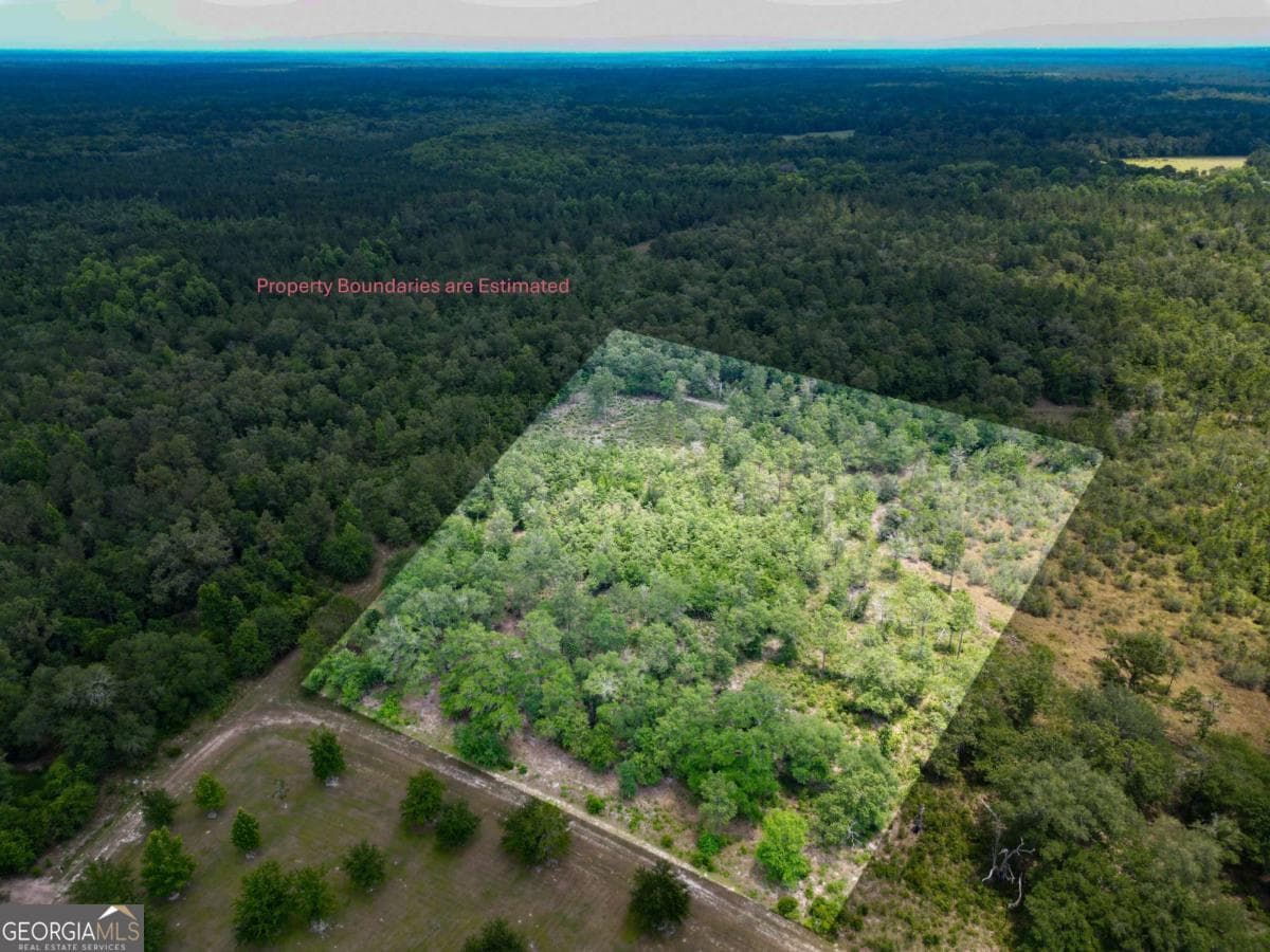 agriculture for sale at LOT 8 Faithland Drive, Hinesville, GA 31313 — photo 7