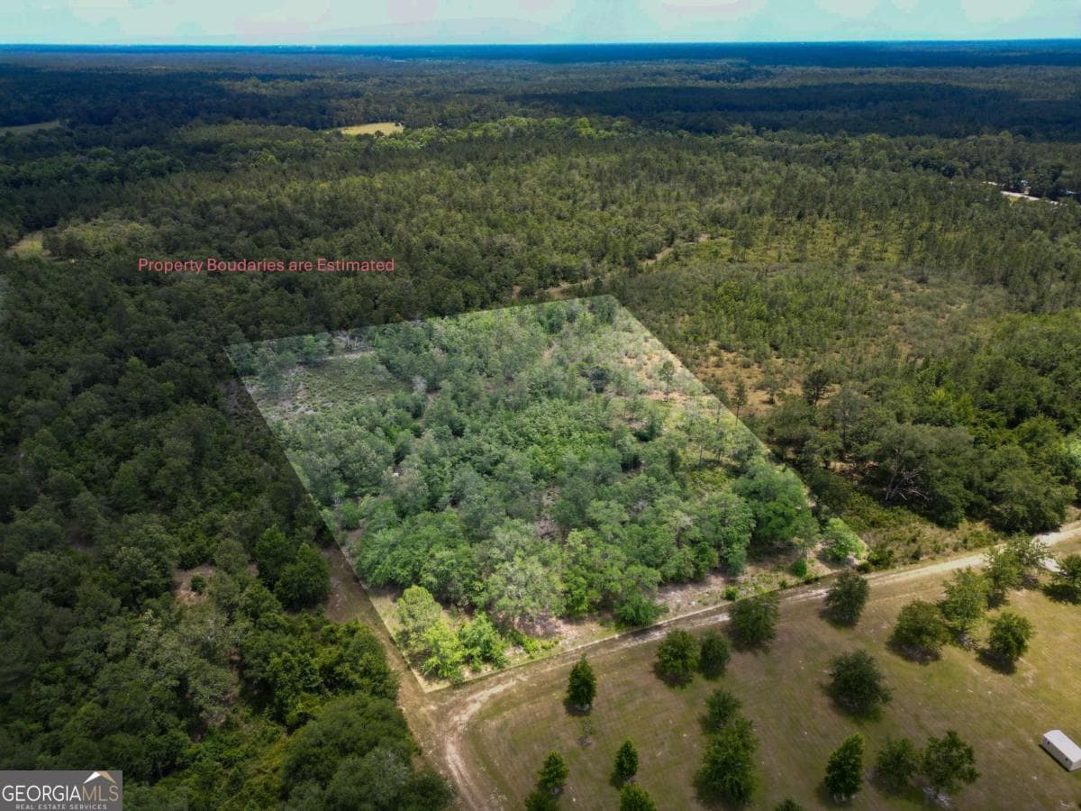 agriculture for sale at LOT 8 Faithland Drive, Hinesville, GA 31313 — photo 3