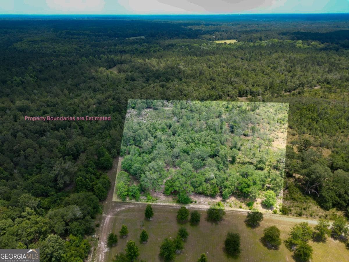 agriculture for sale at LOT 8 Faithland Drive, Hinesville, GA 31313