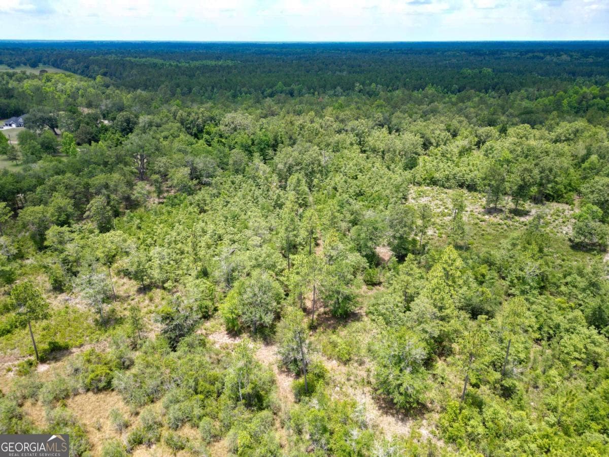 agriculture for sale at LOT 8 Faithland Drive, Hinesville, GA 31313 — photo 5