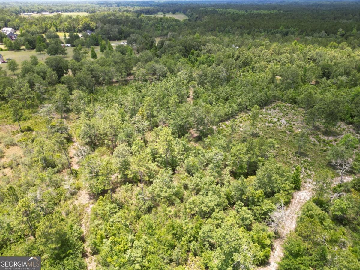 agriculture for sale at LOT 8 Faithland Drive, Hinesville, GA 31313 — photo 4