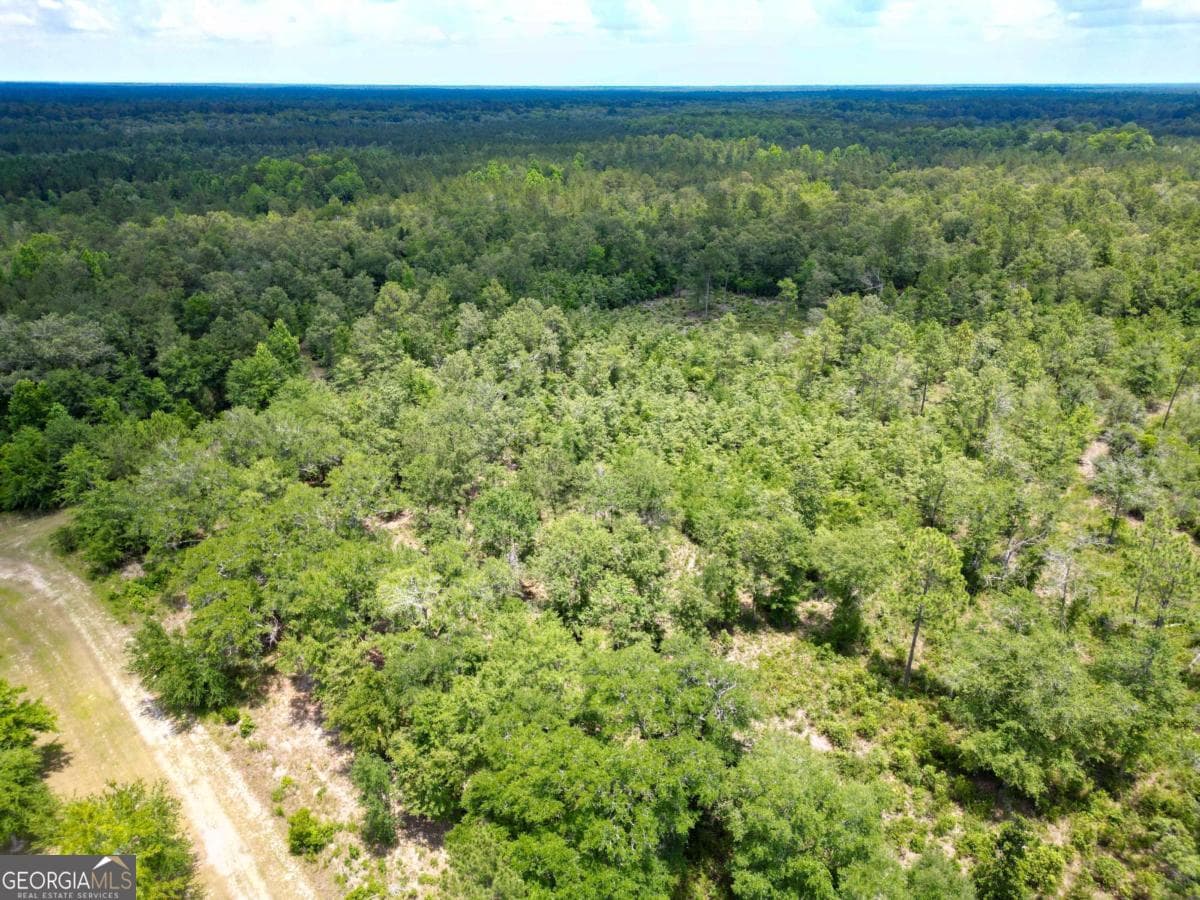 agriculture for sale at LOT 8 Faithland Drive, Hinesville, GA 31313 — photo 8