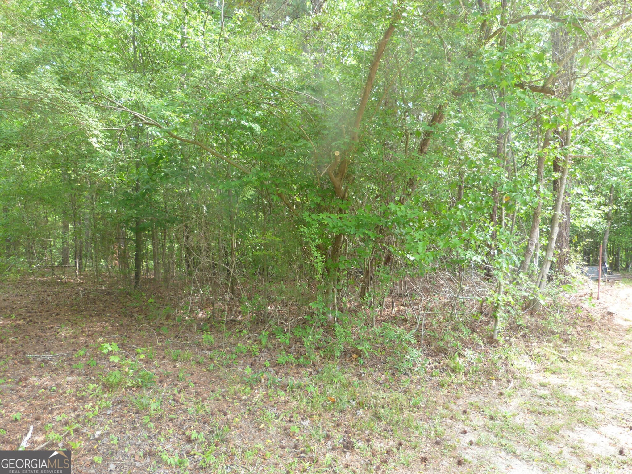 unimproved land for sale at 0 Winfield Road, Appling, GA 30802 — photo 2