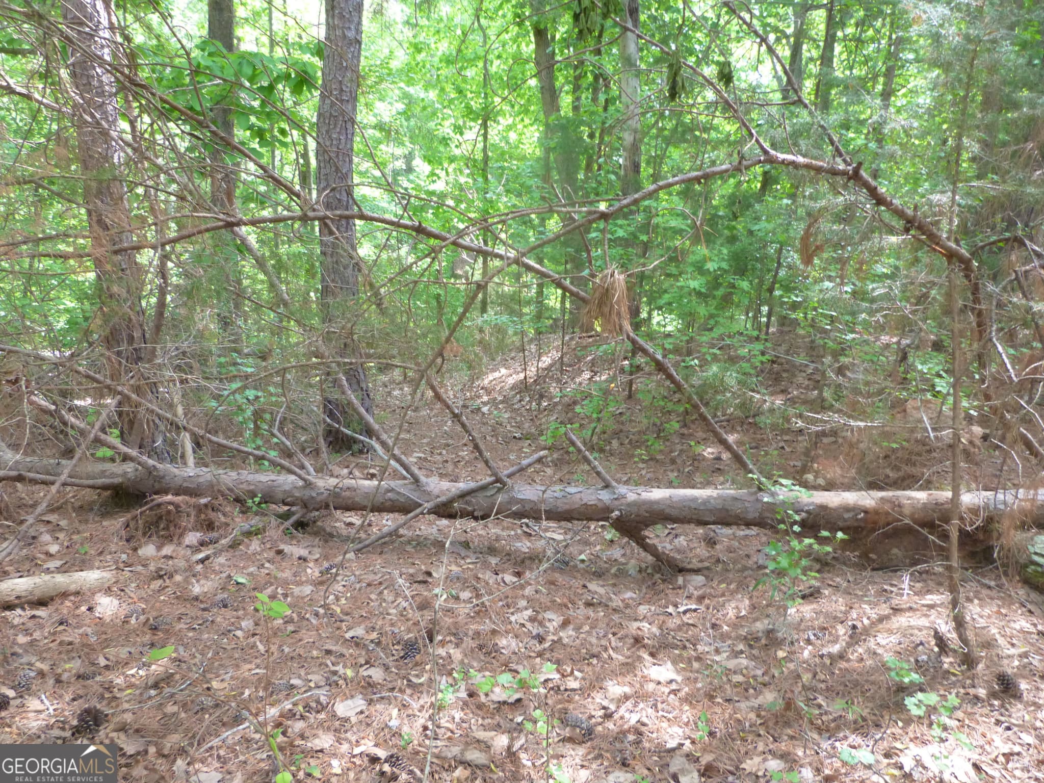 unimproved land for sale at 0 Winfield Road, Appling, GA 30802 — photo 6