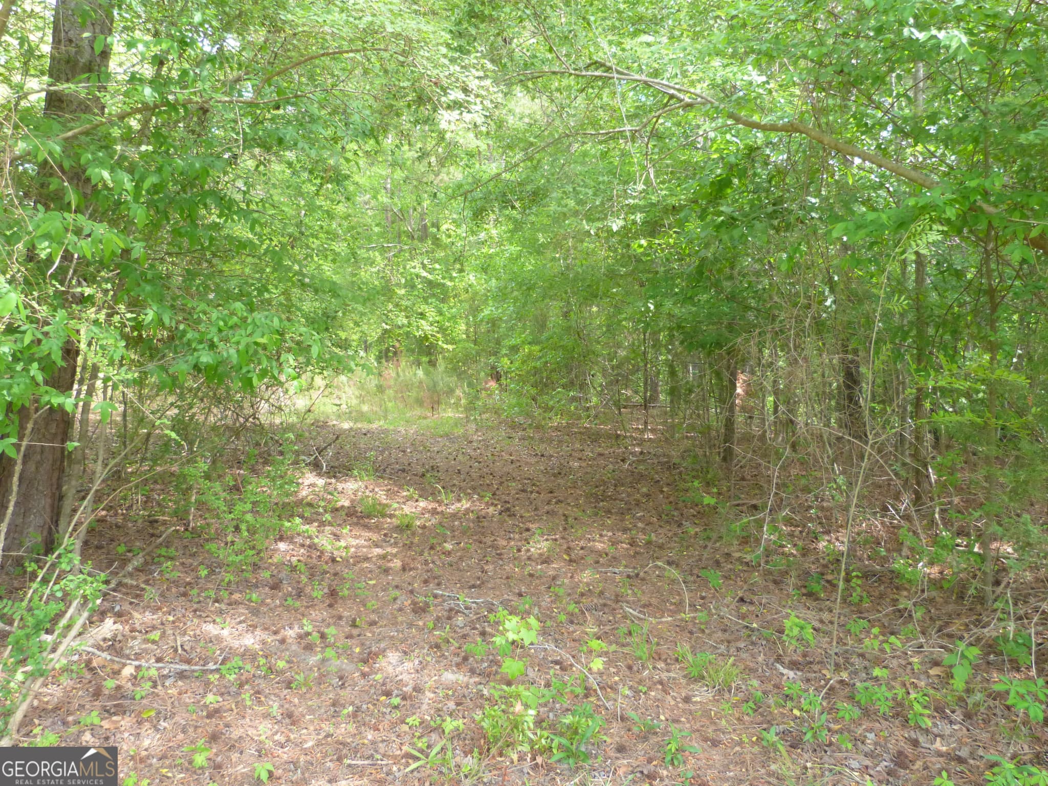 unimproved land for sale at 0 Winfield Road, Appling, GA 30802 — photo 3