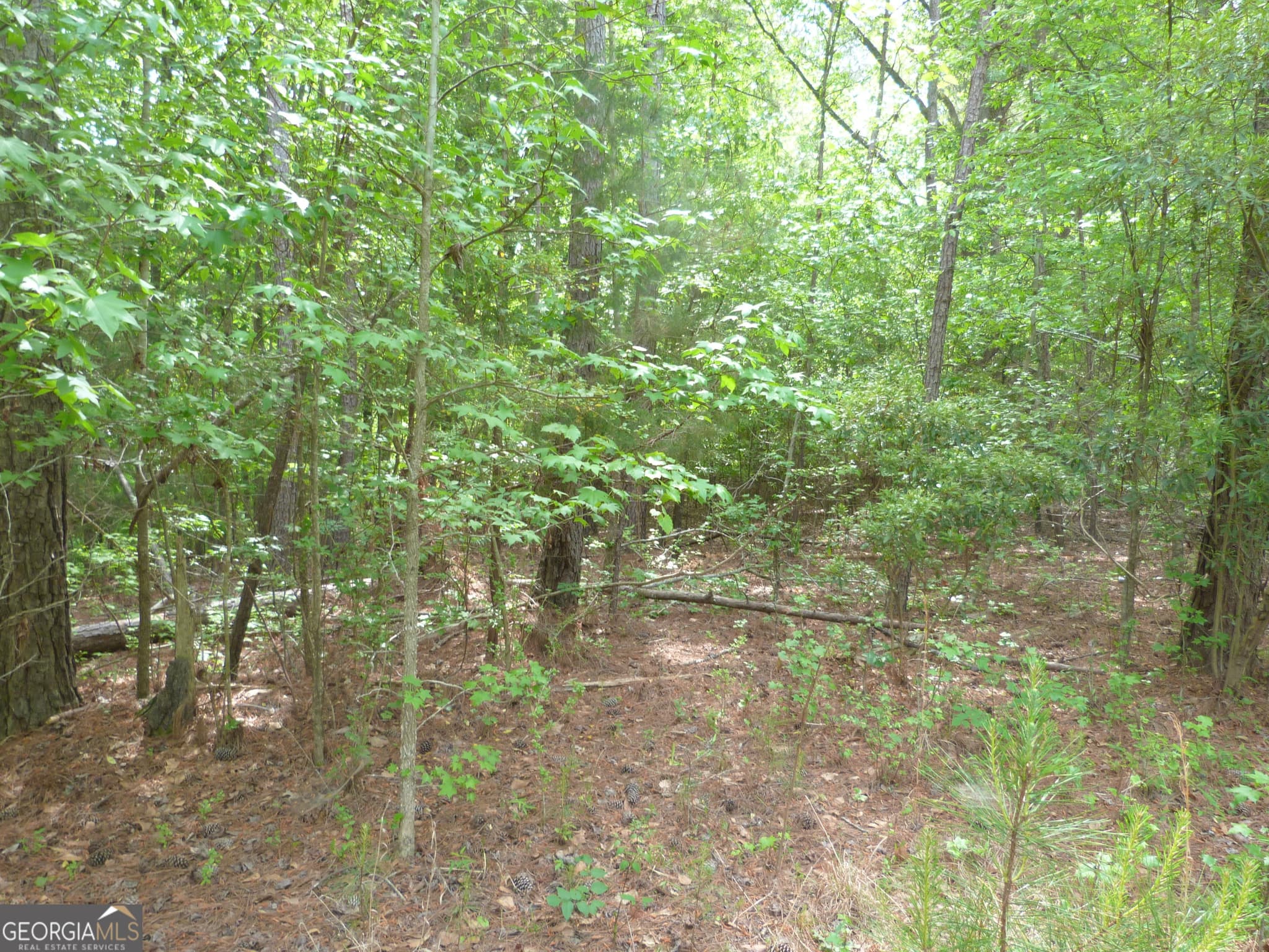 unimproved land for sale at 0 Winfield Road, Appling, GA 30802 — photo 1 of 7