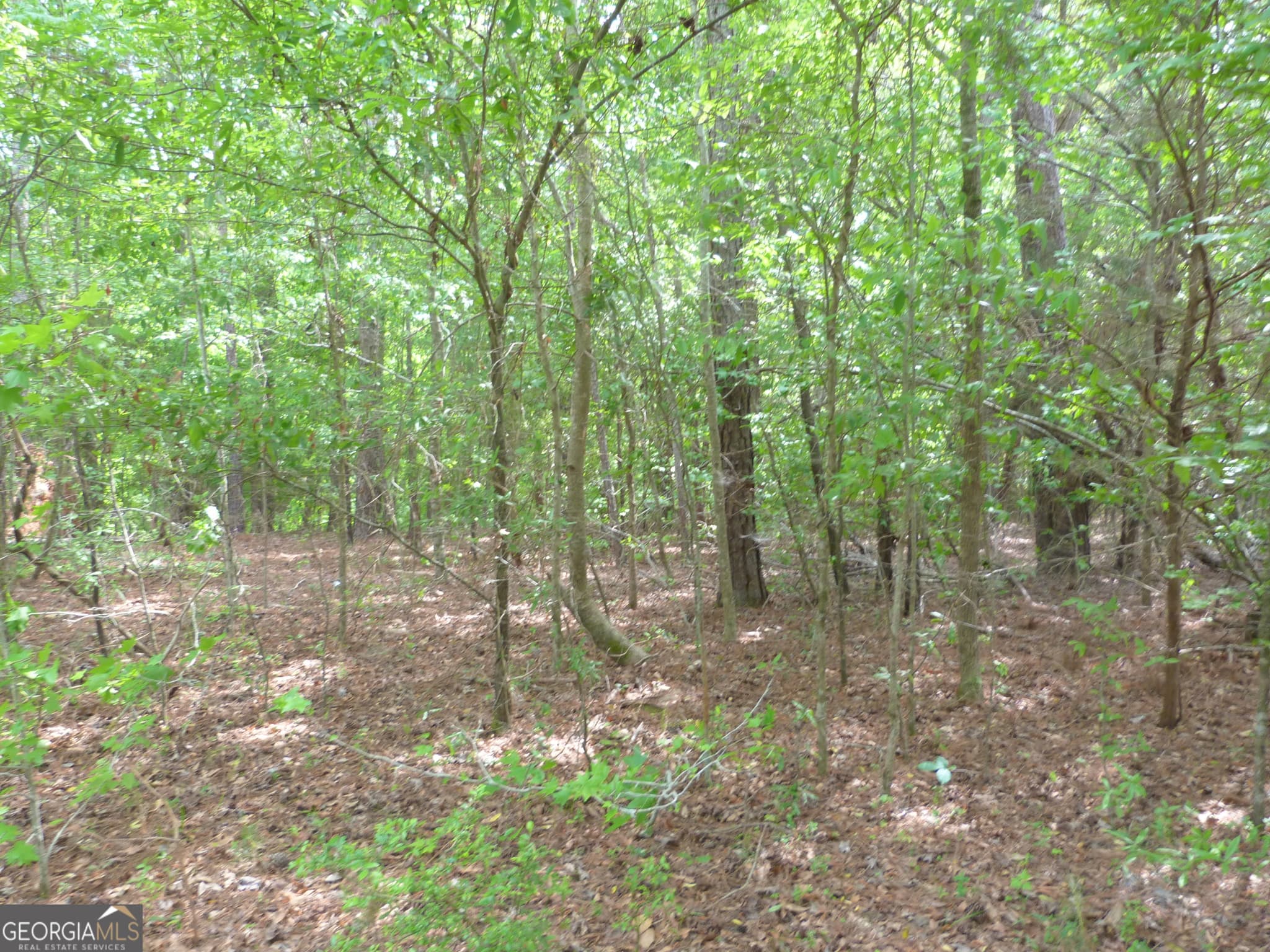 unimproved land for sale at 0 Winfield Road, Appling, GA 30802 — photo 5