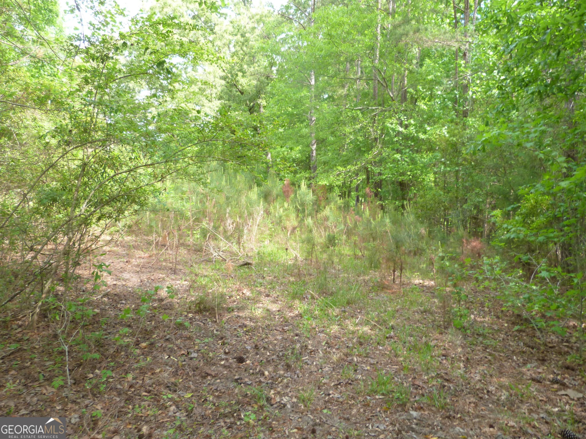 unimproved land for sale at 0 Winfield Road, Appling, GA 30802 — photo 4