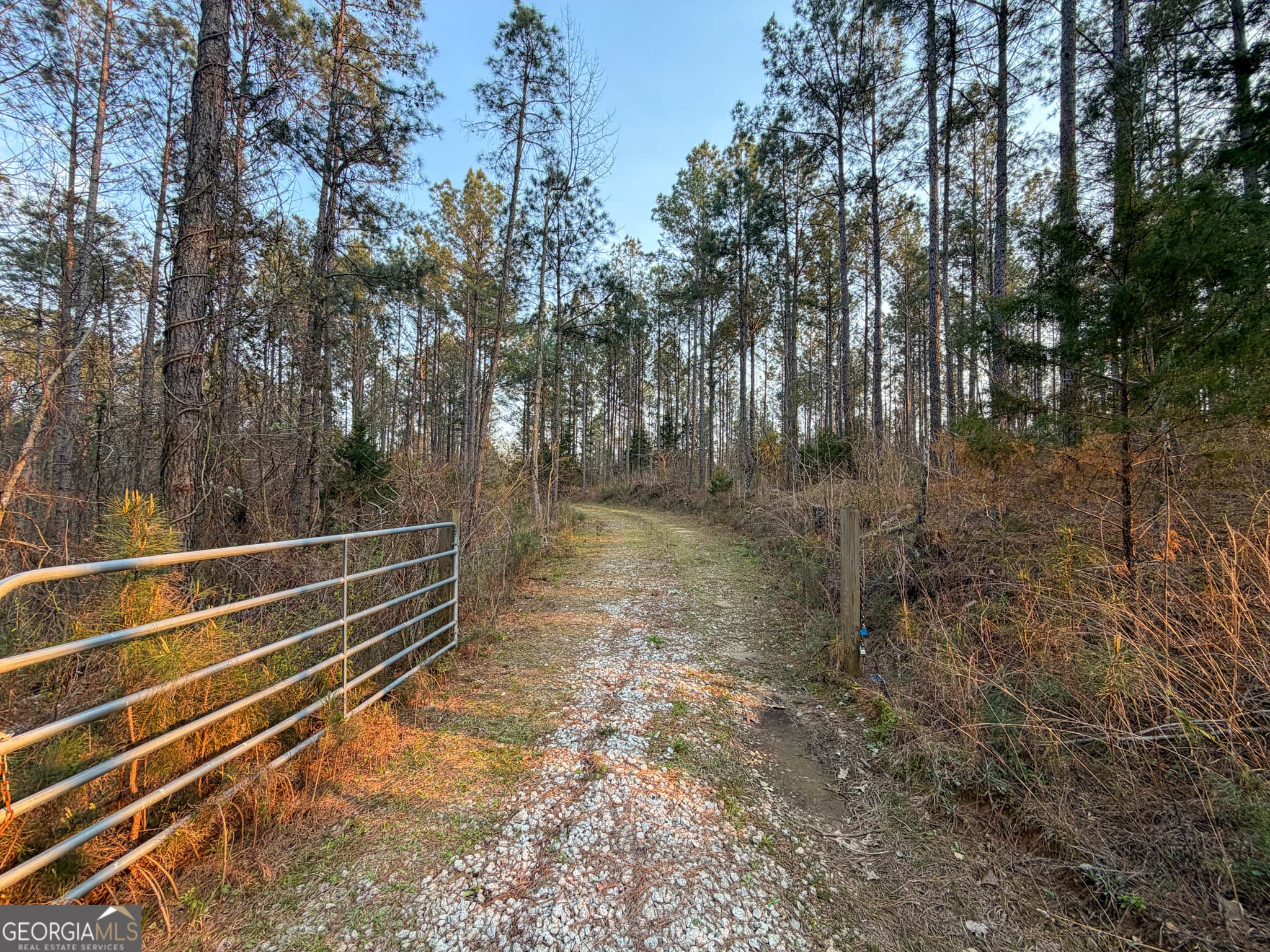 agriculture under contract at 117 +/- Acres on McCosh Mill Road, Franklin, GA 30217 — photo 7