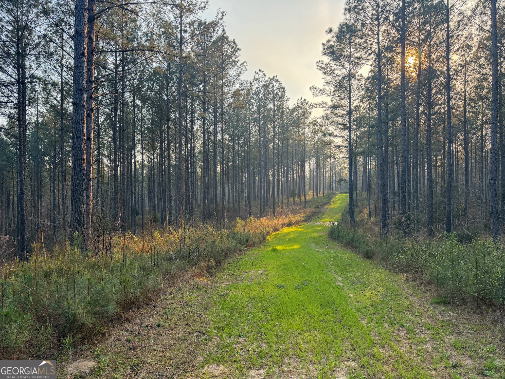 agriculture under contract at 117 +/- Acres on McCosh Mill Road, Franklin, GA 30217 — photo 3