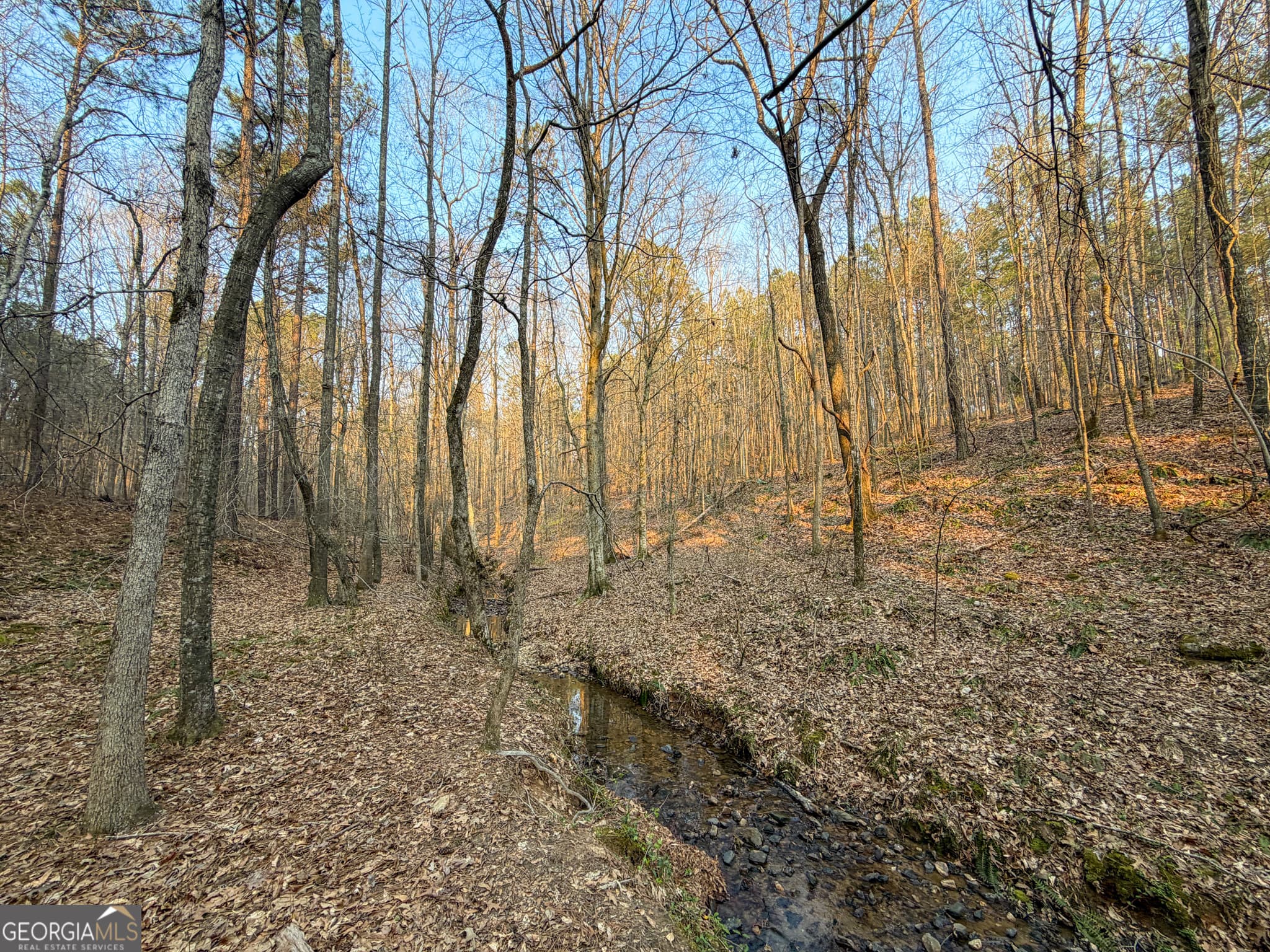 agriculture under contract at 117 +/- Acres on McCosh Mill Road, Franklin, GA 30217 — photo 5