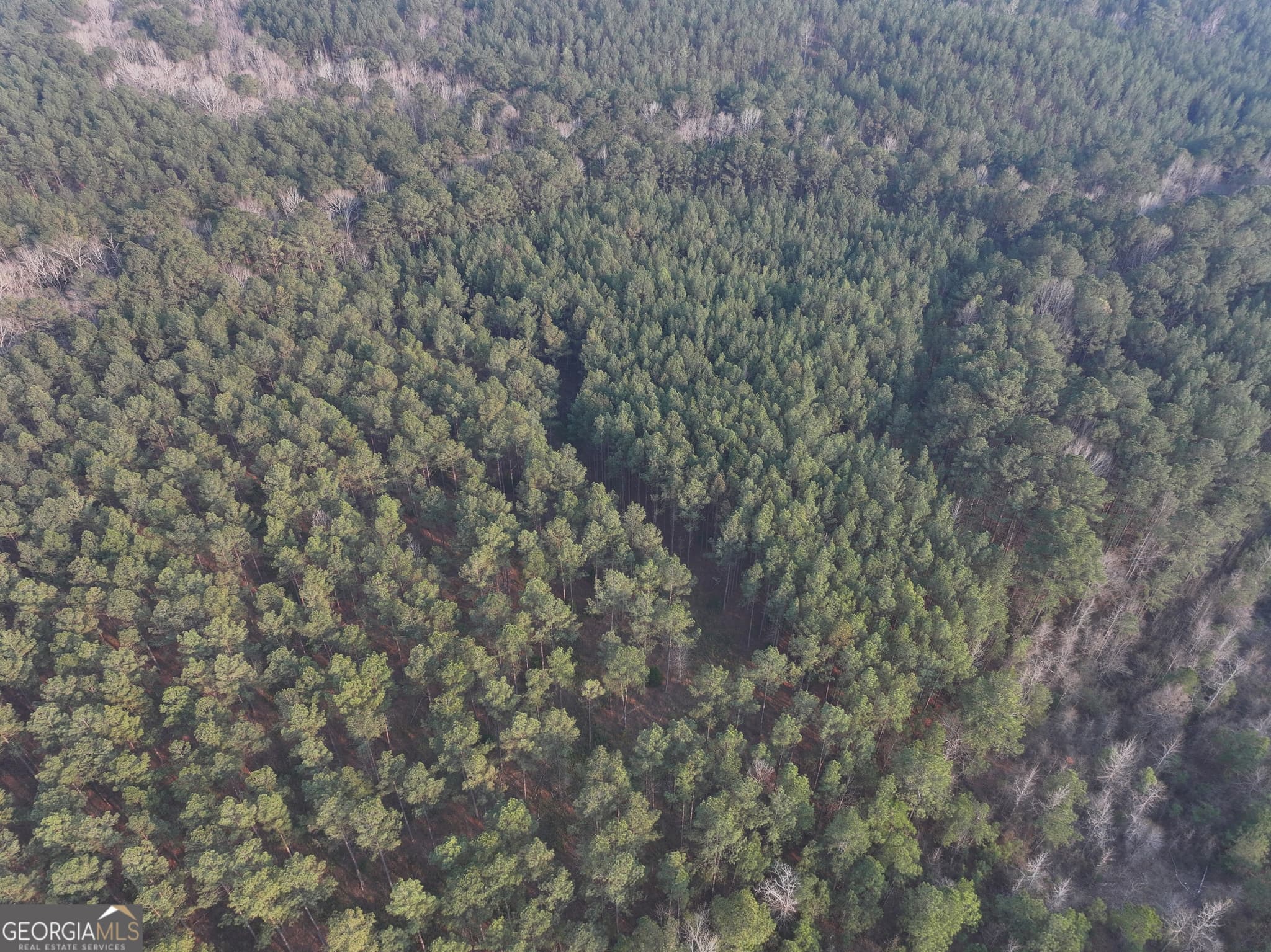 agriculture under contract at 117 +/- Acres on McCosh Mill Road, Franklin, GA 30217 — photo 10