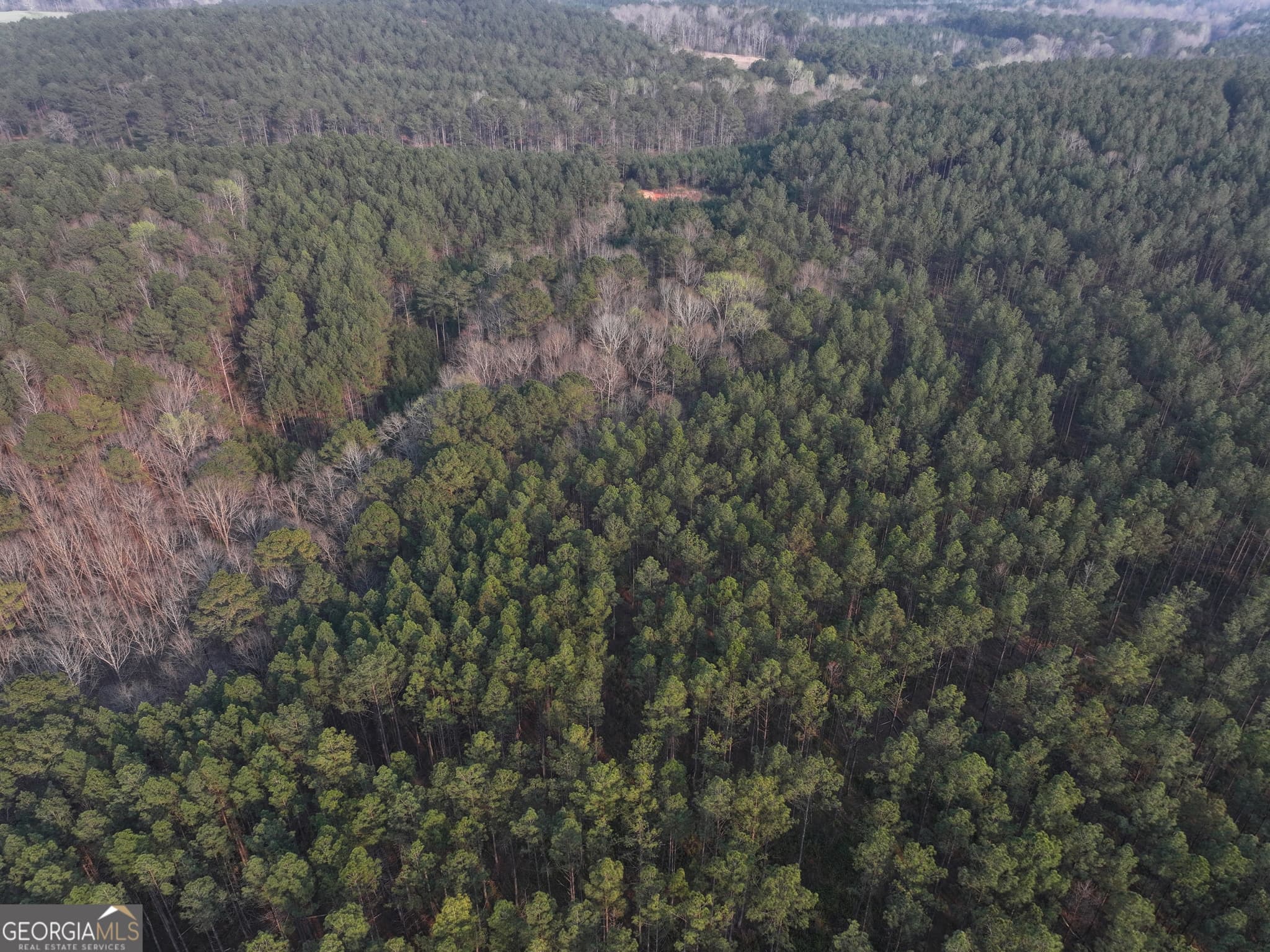 agriculture under contract at 117 +/- Acres on McCosh Mill Road, Franklin, GA 30217 — photo 4
