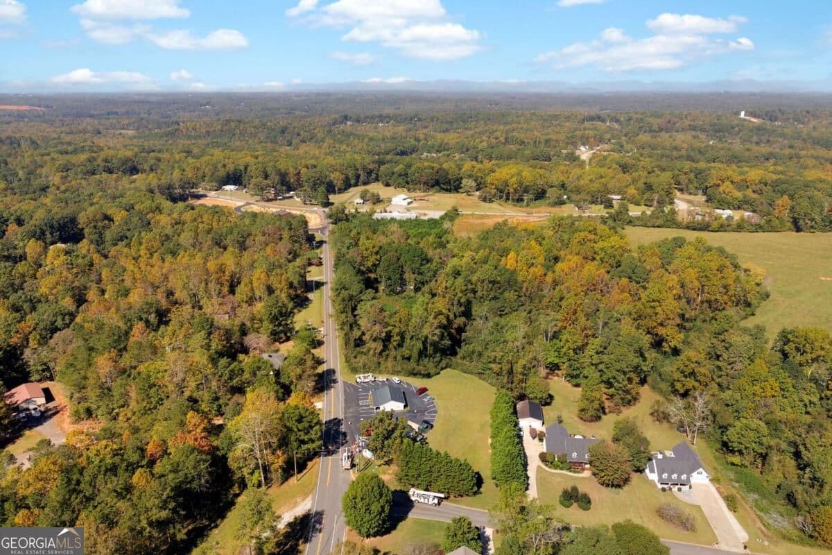 unimproved land for sale at 121 Nix Bridge Road, Dawsonville, GA 30534 — photo 6