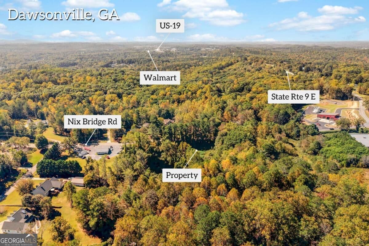 unimproved land for sale at 121 Nix Bridge Road, Dawsonville, GA 30534 — photo 9