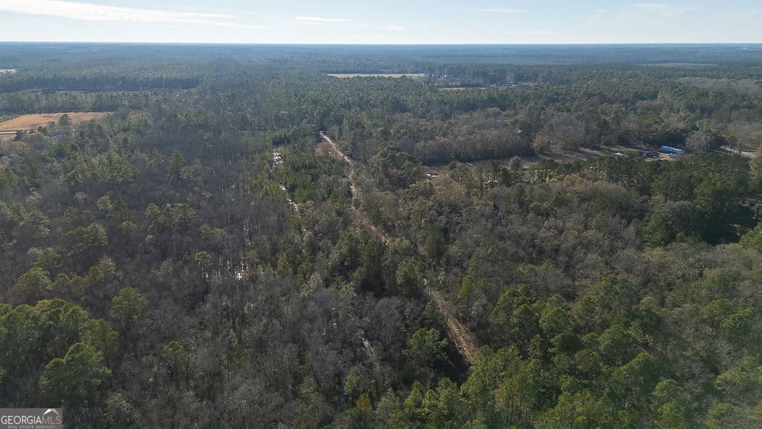 unimproved land for sale at 297 Horsepen Road, Guyton, GA 31312 — photo 6