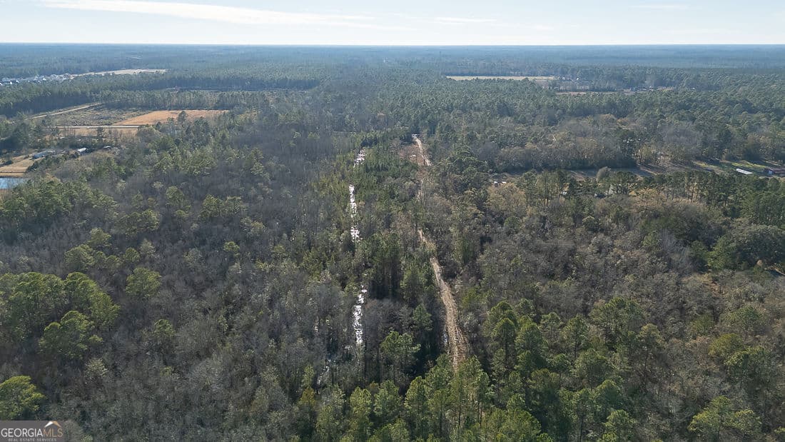 unimproved land for sale at 297 Horsepen Road, Guyton, GA 31312 — photo 7