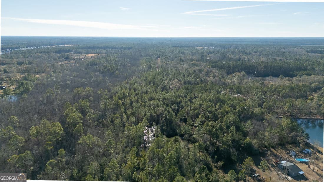 unimproved land for sale at 297 Horsepen Road, Guyton, GA 31312 — photo 3