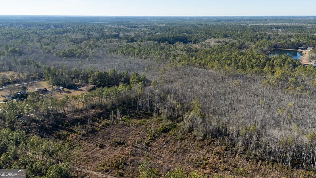 unimproved land for sale at 297 Horsepen Road, Guyton, GA 31312 — photo 5