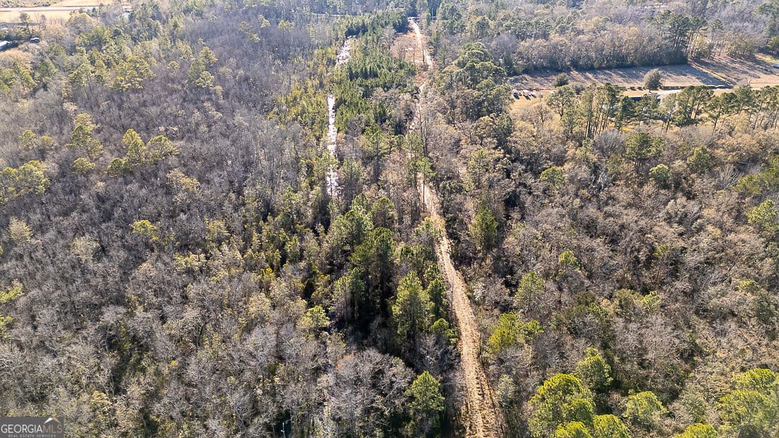unimproved land for sale at 297 Horsepen Road, Guyton, GA 31312 — photo 9