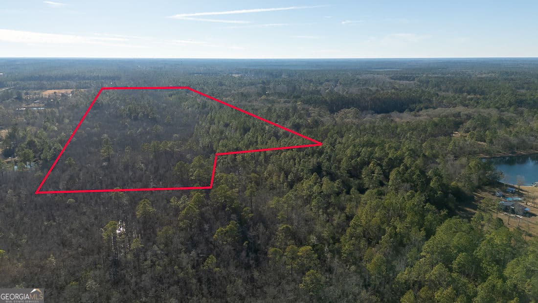 unimproved land for sale at 297 Horsepen Road, Guyton, GA 31312 — photo 4