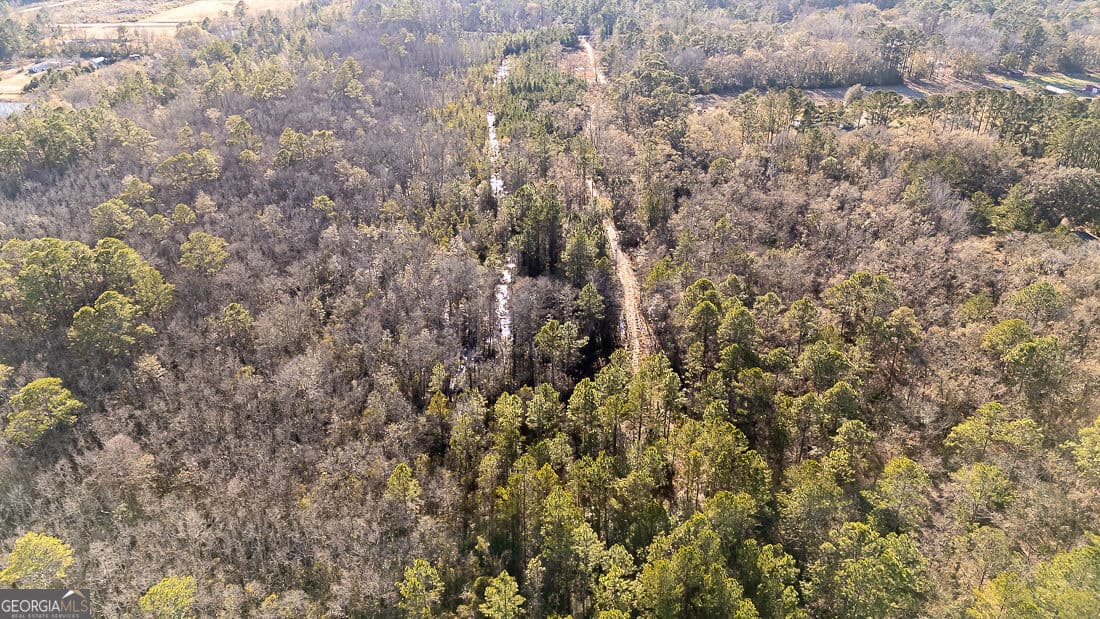 unimproved land for sale at 297 Horsepen Road, Guyton, GA 31312 — photo 8