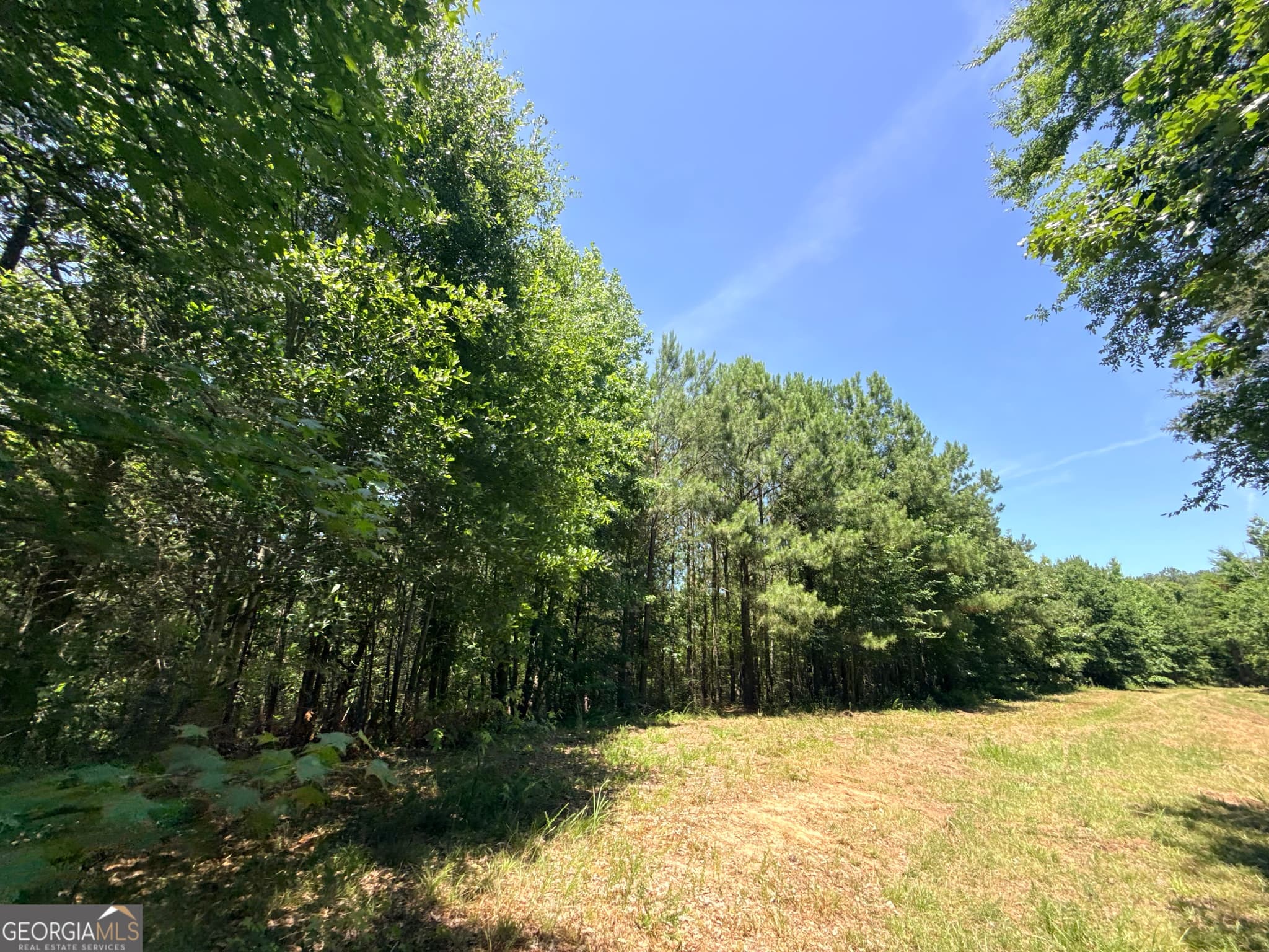agriculture sold at 2807 Cedar Creek Road, Elberton, GA 30635