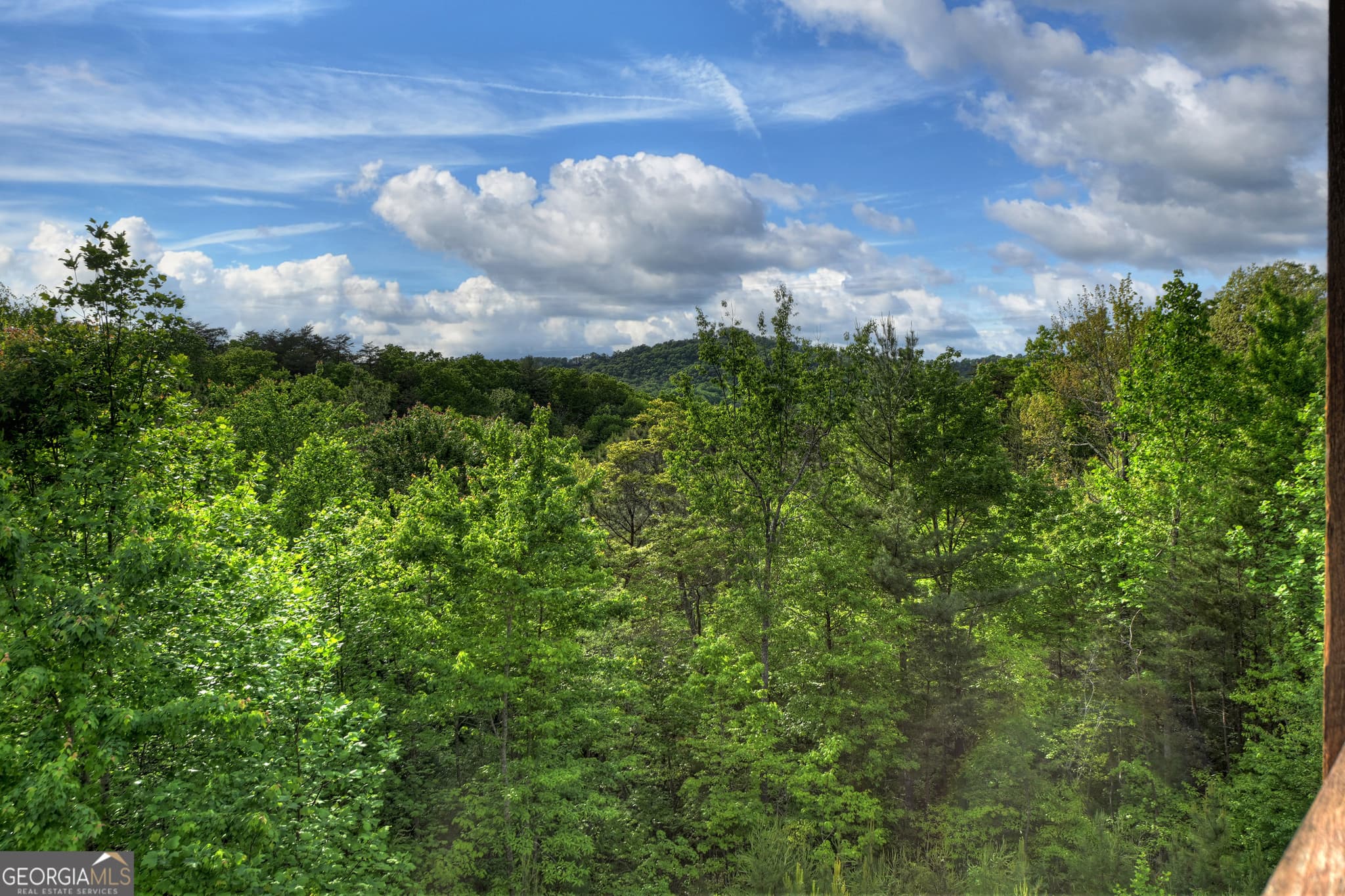 3 bedroom, 3.5 bathroom, 3,144 sq ft cabin,single family residence for sale at 3804 Aska Road, Blue Ridge, GA 30513 — photo 3