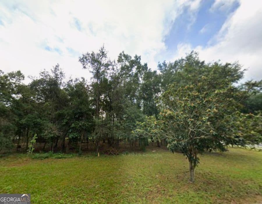 residential lot for sale at 103 Colonial Way, Brunswick, GA 31520 — photo 5