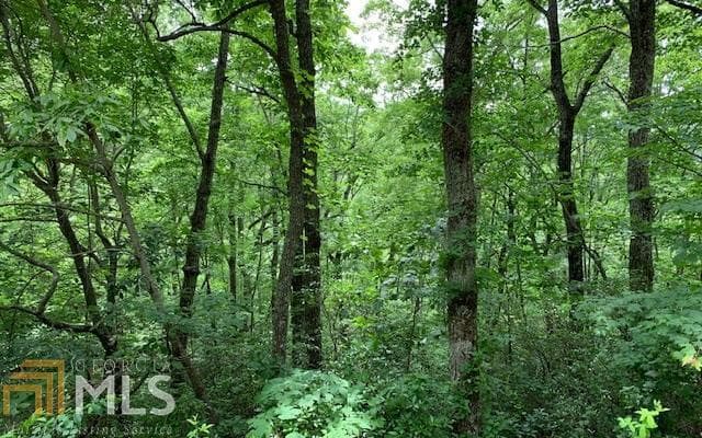 residential lot for sale at LOT 50A Eagles View, Hayesville, NC 28904 — photo 1 of 24