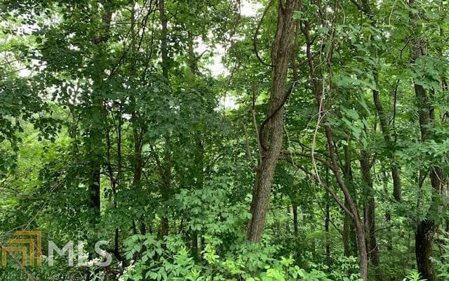 residential lot for sale at LOT 50A Eagles View, Hayesville, NC 28904 — photo 9