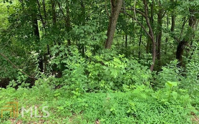 residential lot for sale at LOT 50A Eagles View, Hayesville, NC 28904 — photo 10