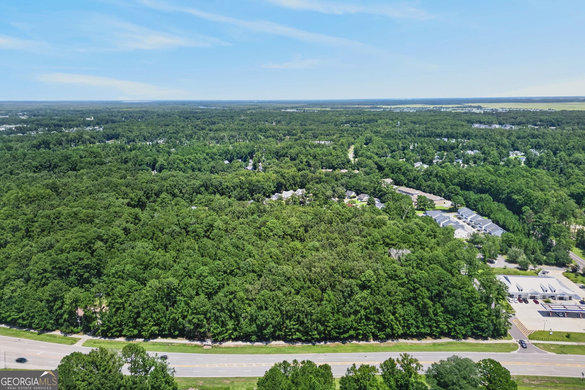 residential lot for sale at 0 Harris Trail Road, Richmond Hill, GA 31324 — photo 2