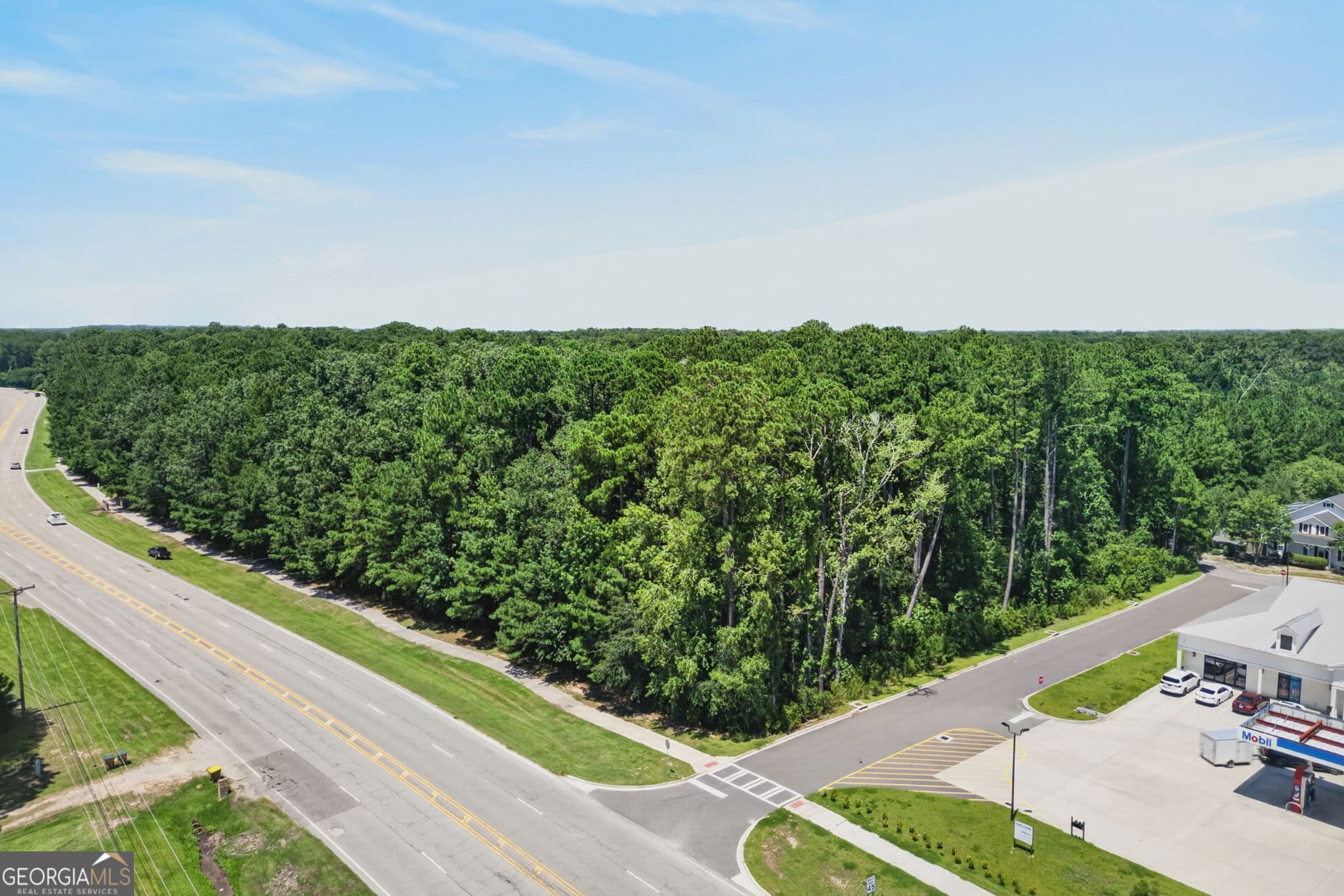 residential lot for sale at 0 Harris Trail Road, Richmond Hill, GA 31324 — photo 4