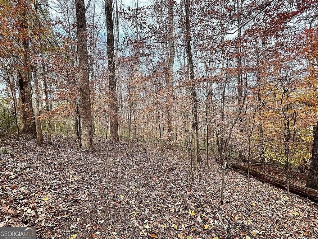 residential lot for sale at 667 B Avery Road, Canton, GA 30115 — photo 6