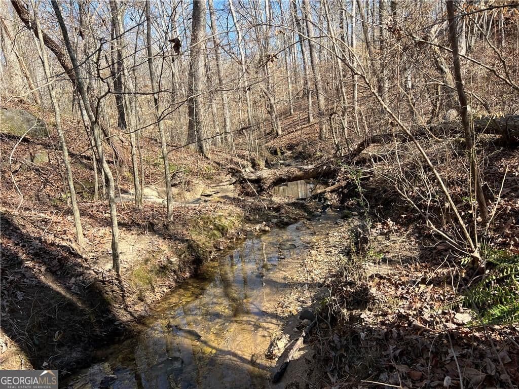 residential lot for sale at 667 B Avery Road, Canton, GA 30115 — photo 7