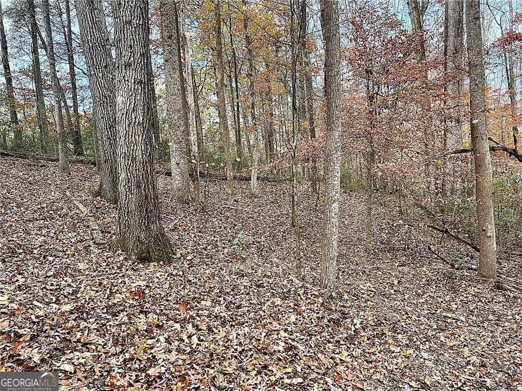 residential lot for sale at 667 B Avery Road, Canton, GA 30115 — photo 5