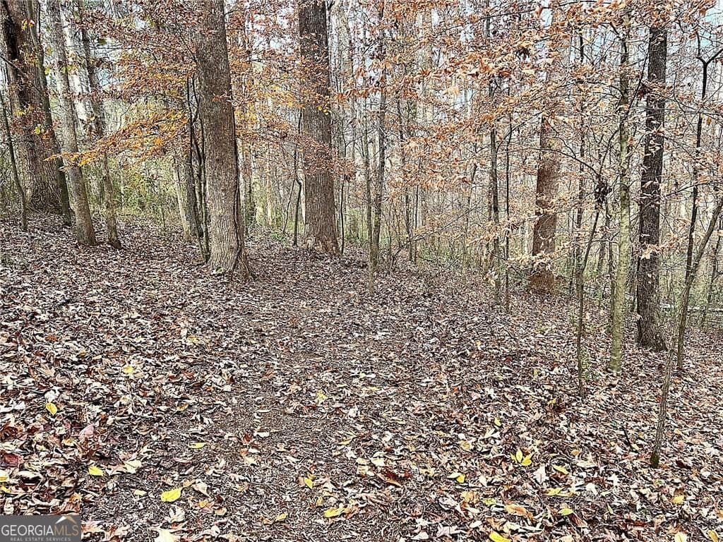 residential lot for sale at 667 B Avery Road, Canton, GA 30115 — photo 9