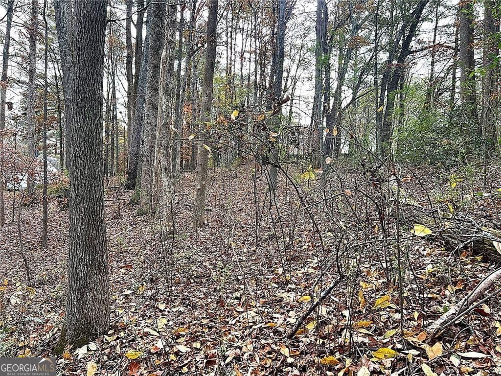 residential lot for sale at 667 B Avery Road, Canton, GA 30115 — photo 10