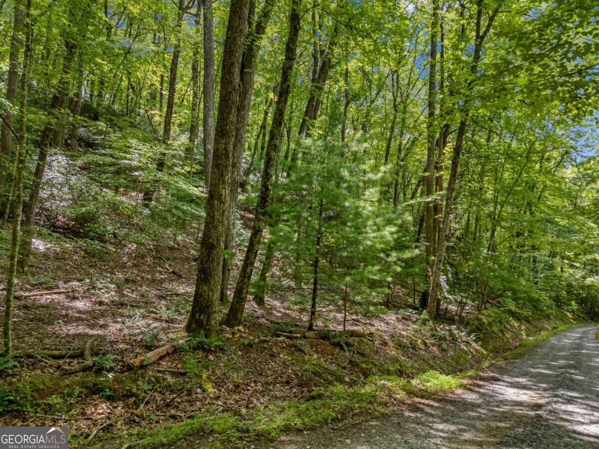 residential lot for sale at 0 Paradise Lane, Blue Ridge, GA 30513 — photo 2