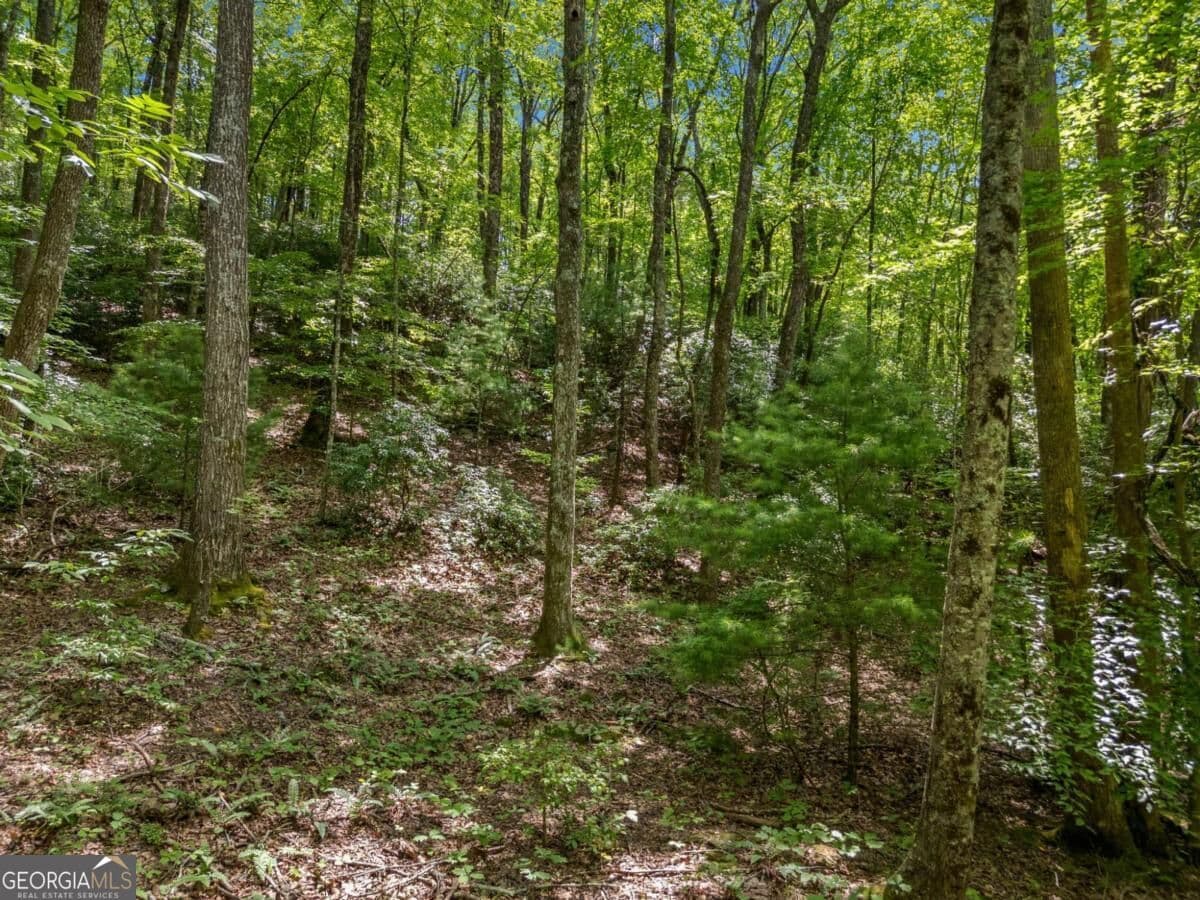 residential lot for sale at 0 Paradise Lane, Blue Ridge, GA 30513 — photo 1 of 23