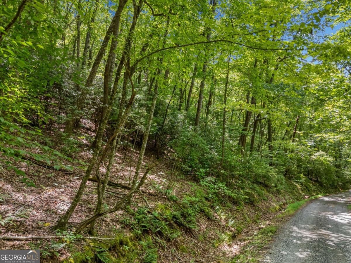residential lot for sale at 0 Paradise Lane, Blue Ridge, GA 30513 — photo 5