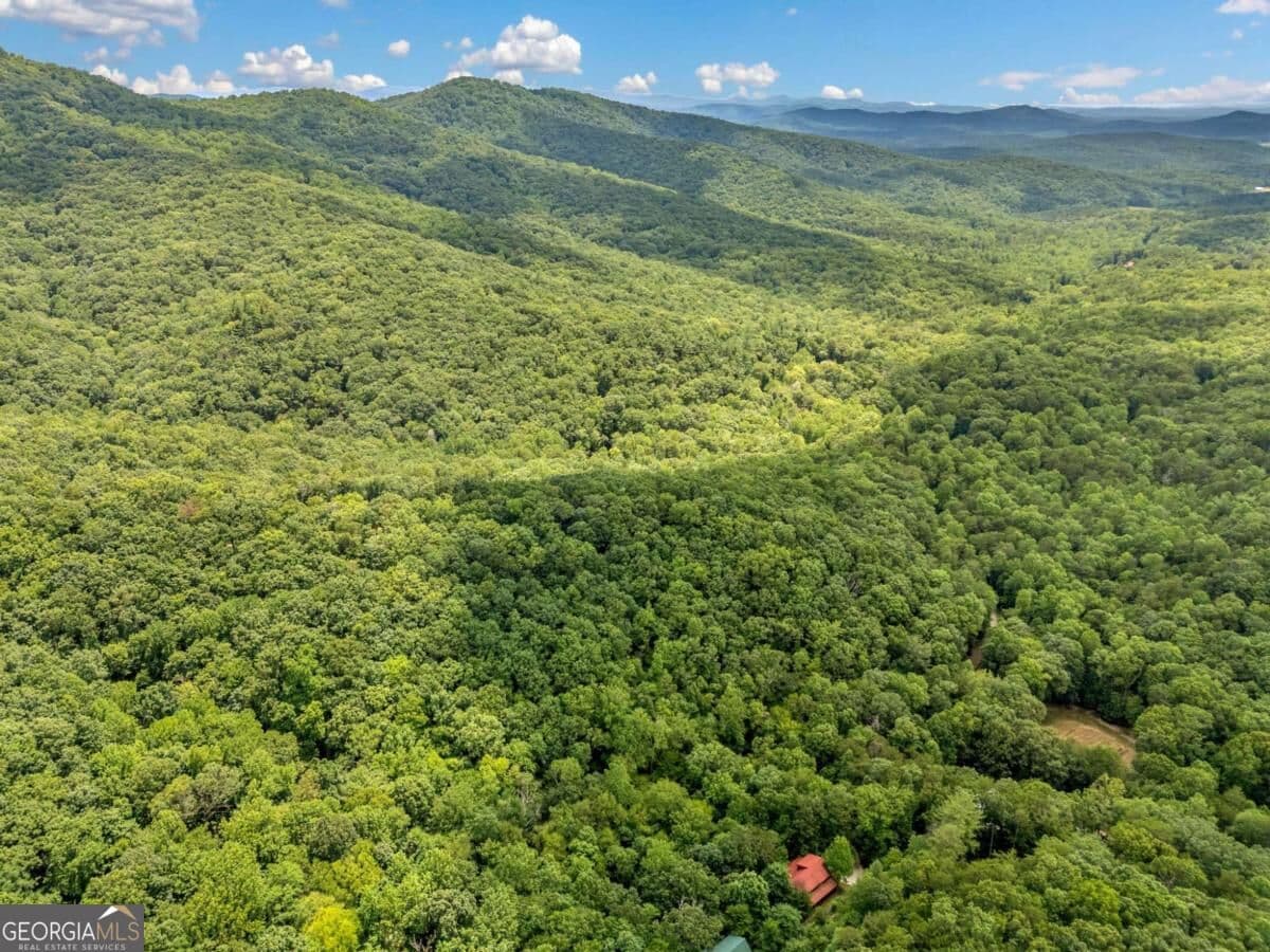 residential lot for sale at 0 Paradise Lane, Blue Ridge, GA 30513 — photo 9