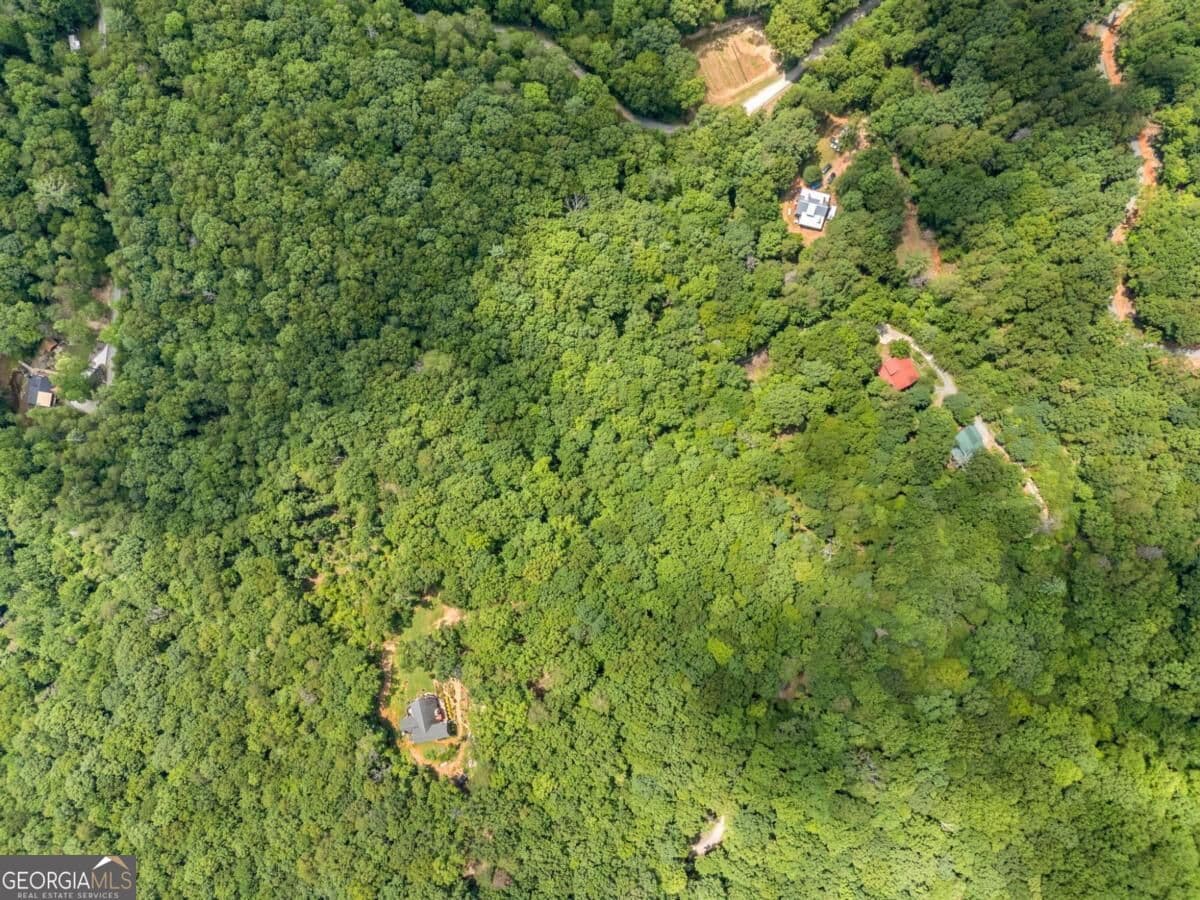 residential lot for sale at 0 Paradise Lane, Blue Ridge, GA 30513 — photo 10