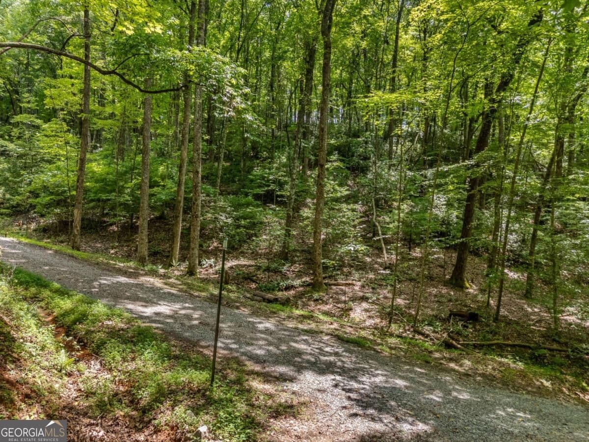 residential lot for sale at 0 Paradise Lane, Blue Ridge, GA 30513 — photo 4