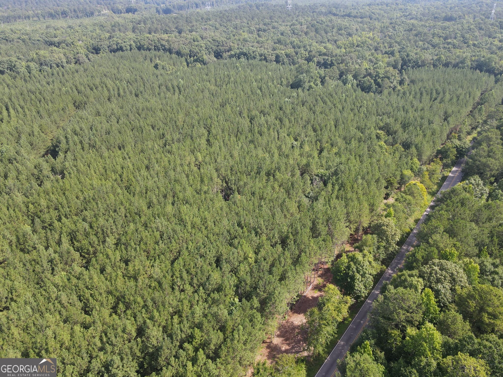 agriculture for sale at 0 Lower Harmony Road, Eatonton, GA 31024 — photo 2