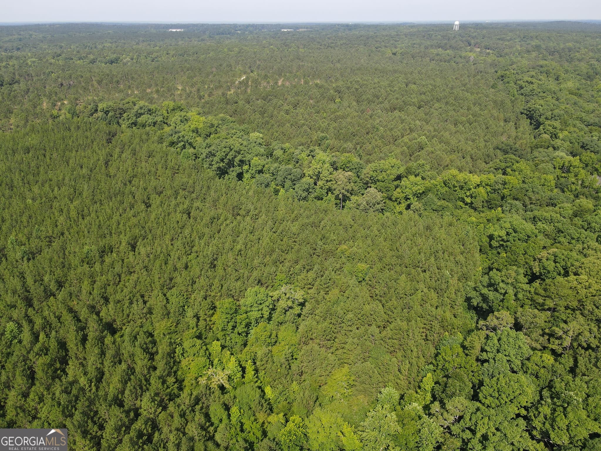 agriculture for sale at 0 Lower Harmony Road, Eatonton, GA 31024 — photo 6